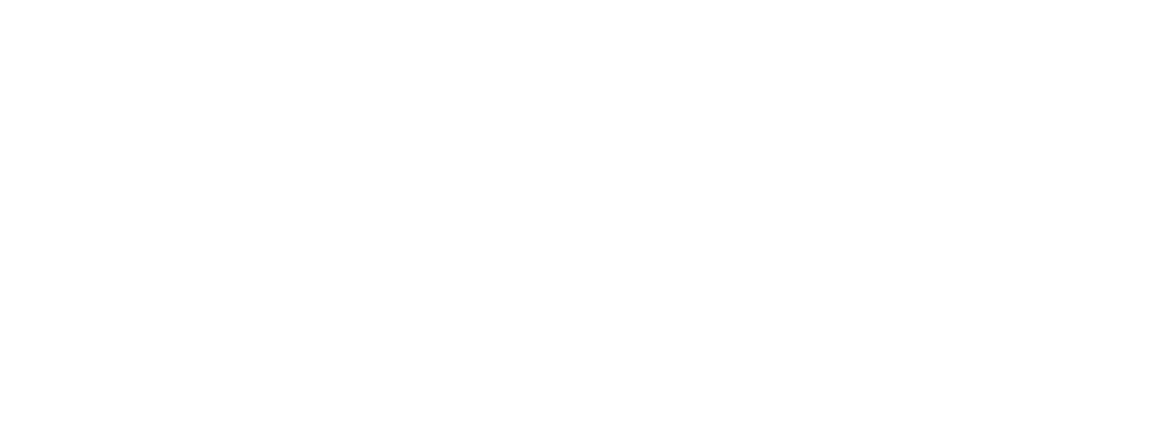 DESIGNSURANCE white 2